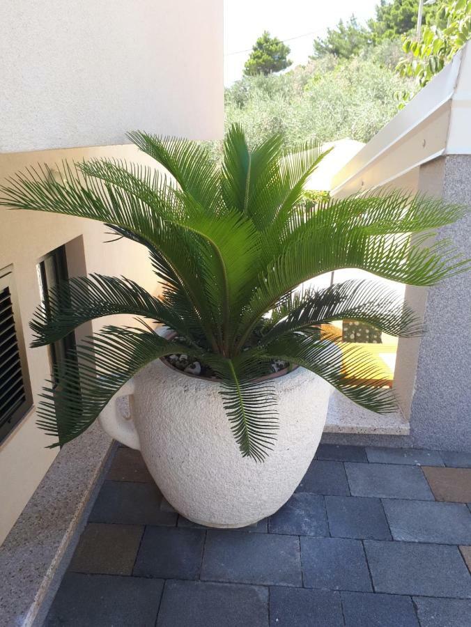 Apartments Kuzmanic Omiš Dış mekan fotoğraf